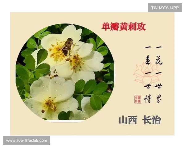 50岁艾弗森痛改前非半年戒酒自称找回自我称这是人生最正确决定之一 50岁艾弗森痛改前非半年戒酒自称找回自我称这是人生最正确决定之一